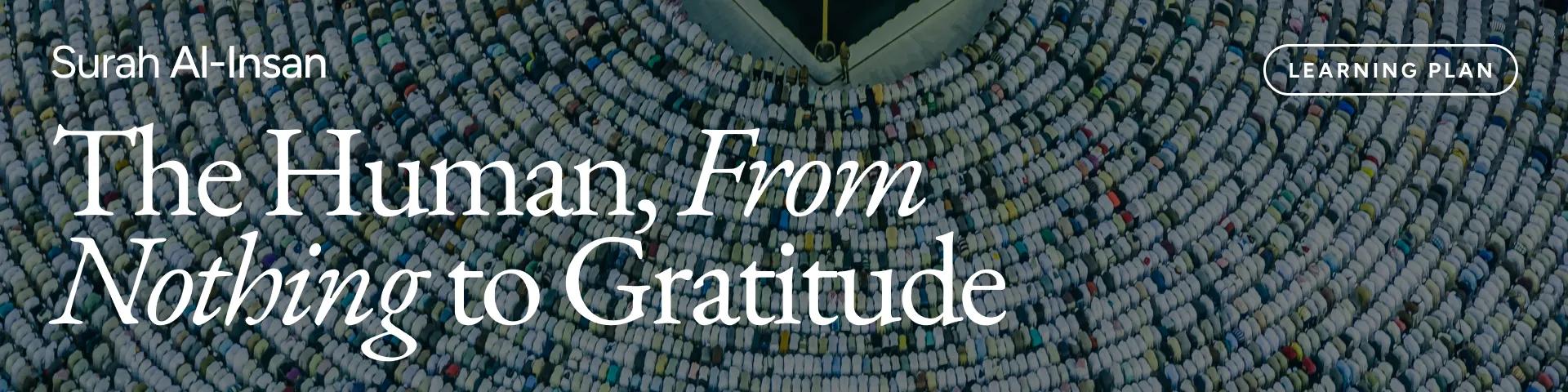 Surah Al-Insan: The Human, From Nothing to Gratitude